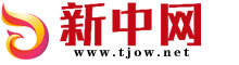 新中网